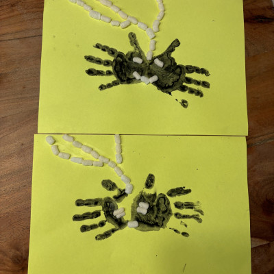 Halloween Spinnen Halloween Spinnen